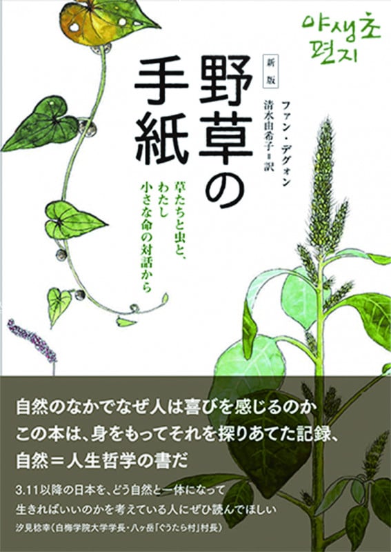 野草の手紙 草たちと虫と、わたし 小さな命の対話から