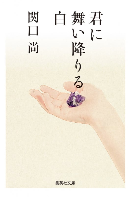 君に舞い降りる白 (集英社文庫)
