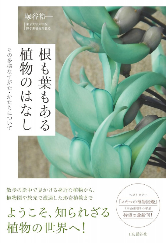 根も葉もある植物のはなし その多様なすがた・かたちについて