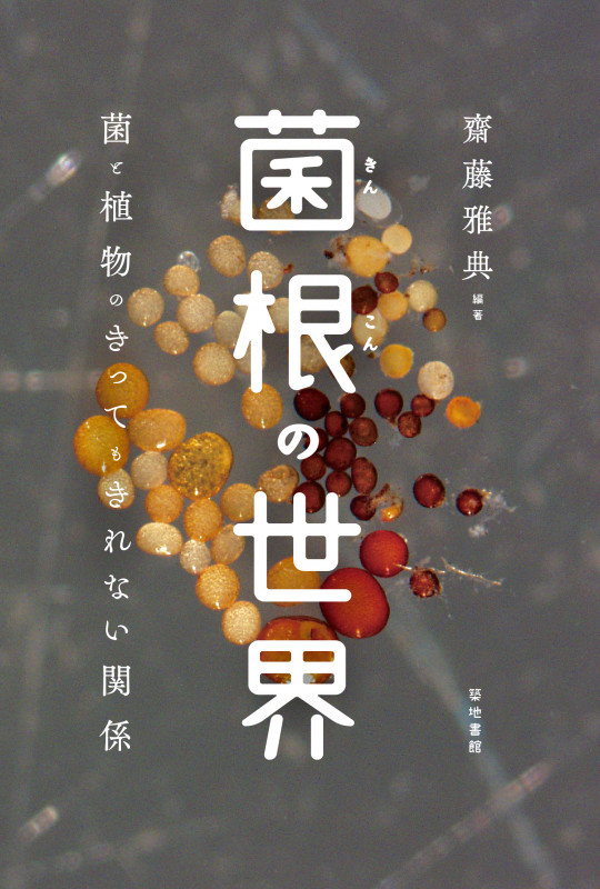 菌根の世界 菌と植物のきってもきれない関係
