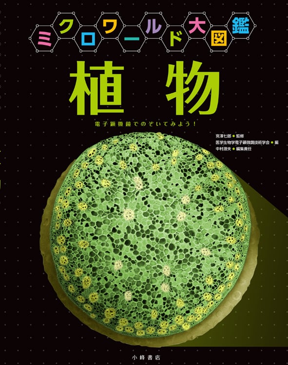 植物 (ミクロワールド大図鑑)