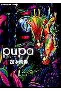 pupa (4) (アース・スターC)