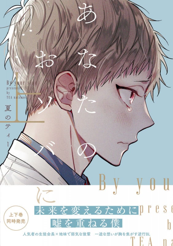 あなたのおソバに 上 (1) (B's-LOVEY COMICS)