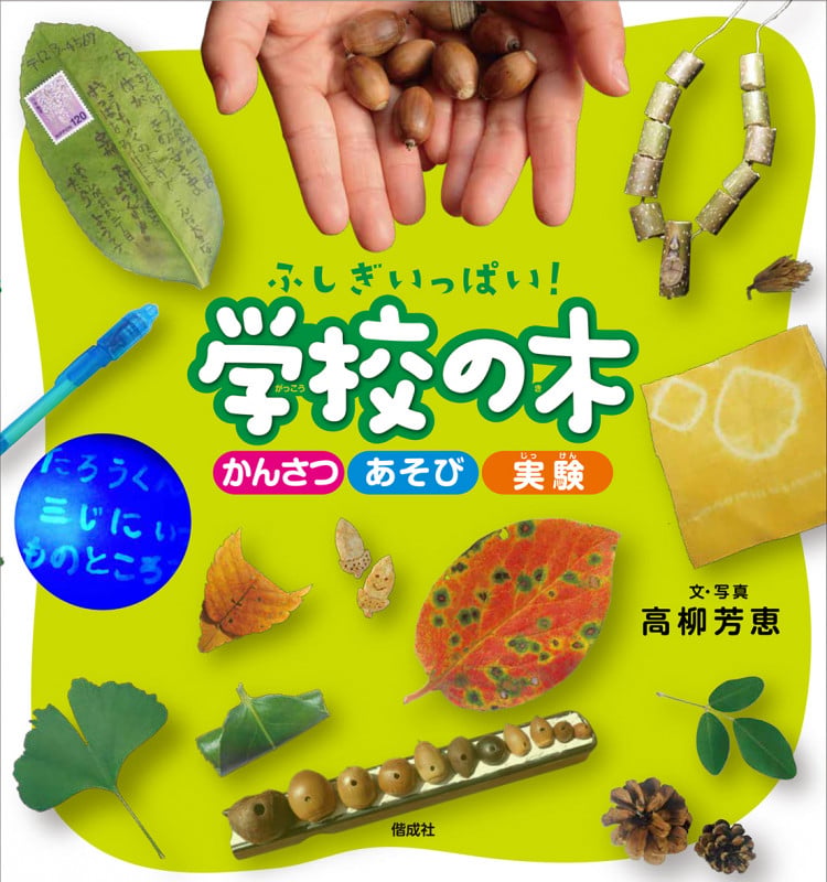 ふしぎいっぱい!学校の木 かんさつ あそび 実験
