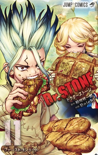Dr.STONE (11) (ジャンプC)