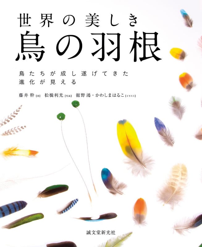 世界の美しき鳥の羽根 鳥たちが成し遂げてきた進化が見えるの詳細を見る