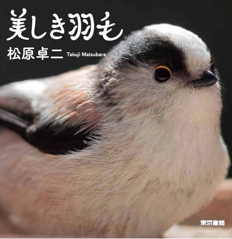 写真集 美しき羽毛