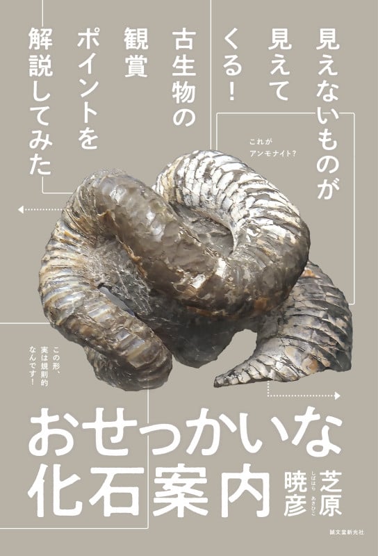 おせっかいな化石案内 見えないものが見えてくる! 古生物の観賞ポイントを解説してみたの詳細を見る