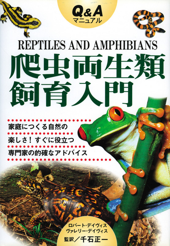 Q&Aマニュアル 爬虫両生類飼育入門 Q&Aマニュアル