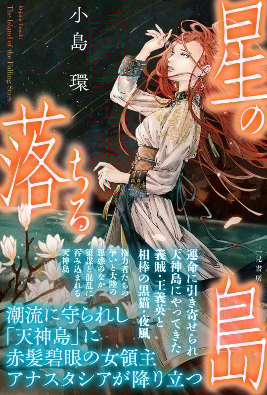 星の落ちる島