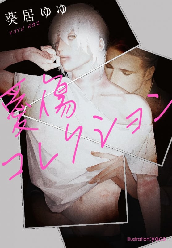 愛傷コレクション (プラチナ文庫)