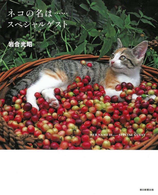 ネコの名は......スペシャルゲストの詳細を見る