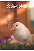 文鳥の時間 あなたに伝えたい文鳥からのフォトメッセージ