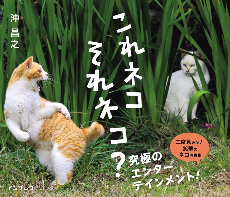 これネコ それネコ?