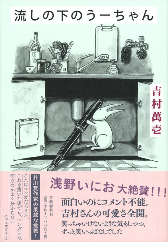 流しの下のうーちゃんの詳細を見る