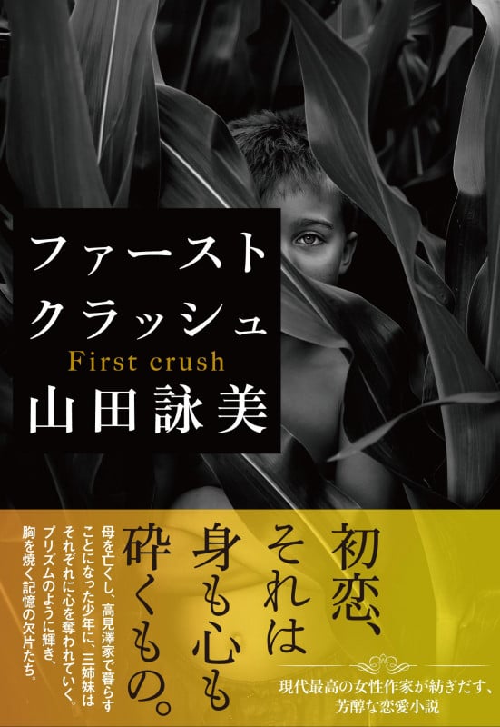 ファーストクラッシュの詳細を見る