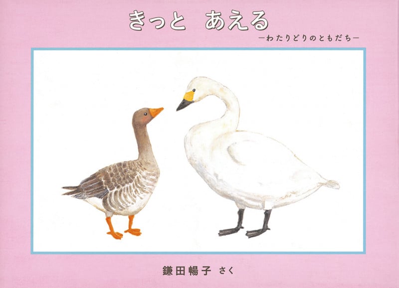 きっとあえる わたりどりのともだち (日本傑作絵本シリーズ)