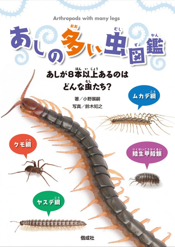 あしの多い虫図鑑 あしが8本以上あるのはどんな虫たち?