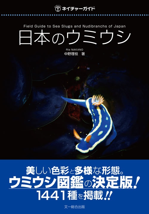 日本のウミウシ (ネイチャーガイド)