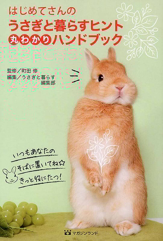 はじめてさんのうさぎと暮らすヒント 丸わかりハンドブック
