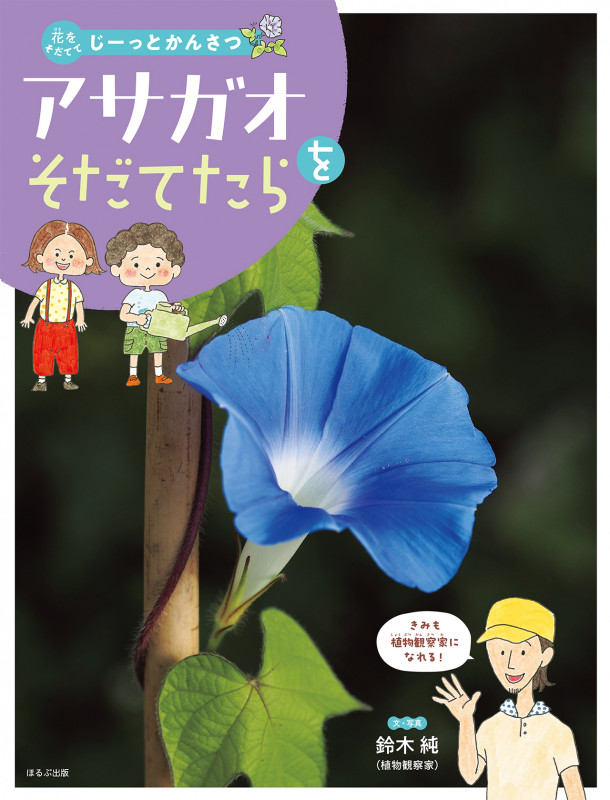アサガオをそだてたら (花をそだててじーっとかんさつ)