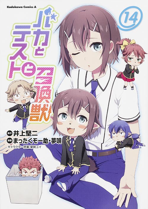 バカとテストと召喚獣 (14) (角川Cエース)