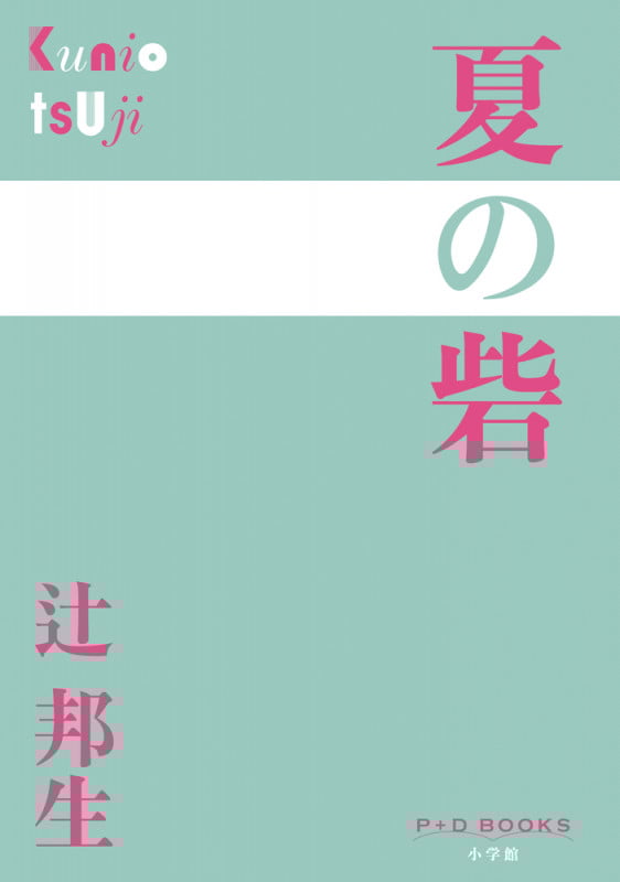 夏の砦 (P+D BOOKS)
