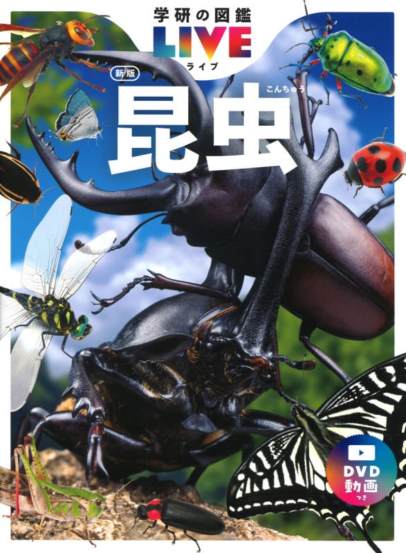 昆虫 新版 (学研の図鑑LIVE)