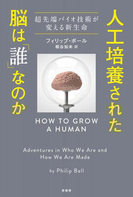 人工培養された脳は「誰」なのか 超先端バイオ技術が変える新生命