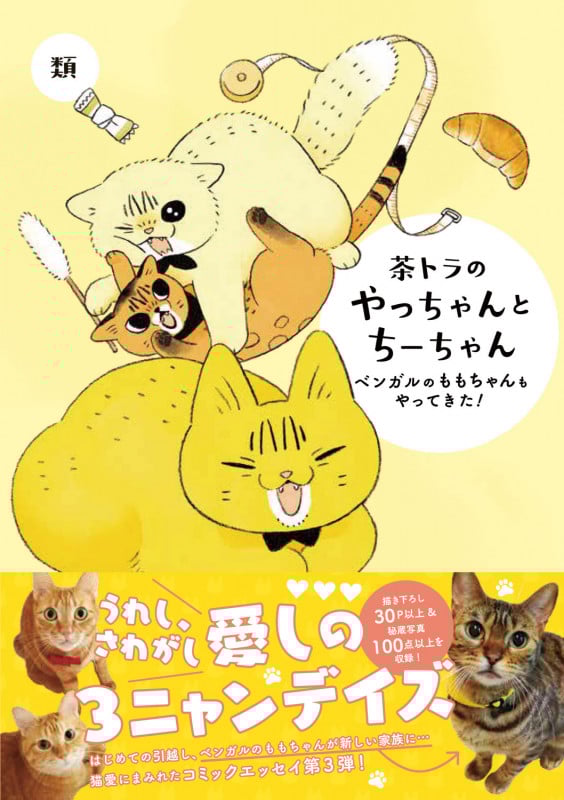 茶トラのやっちゃんとちーちゃん ベンガルのももちゃんもやってきた!
