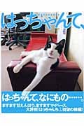 はっちゃんて、
