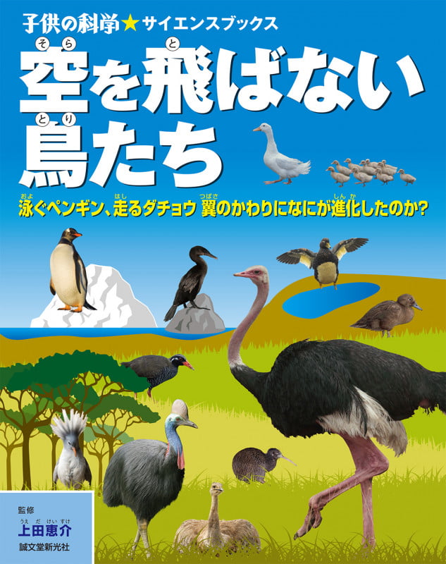 空を飛ばない鳥たち 泳ぐペンギン、走るダチョウ 翼のかわりになにが進化したのか? (子供の科学★サイエンスブックス)の詳細を見る
