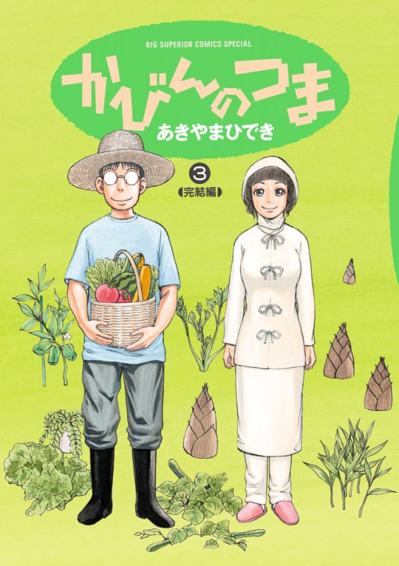 かびんのつま (3) (ビッグ コミックス)