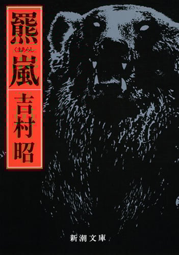 玉置一平/源平天照絵巻 痣丸 | Sinn本館