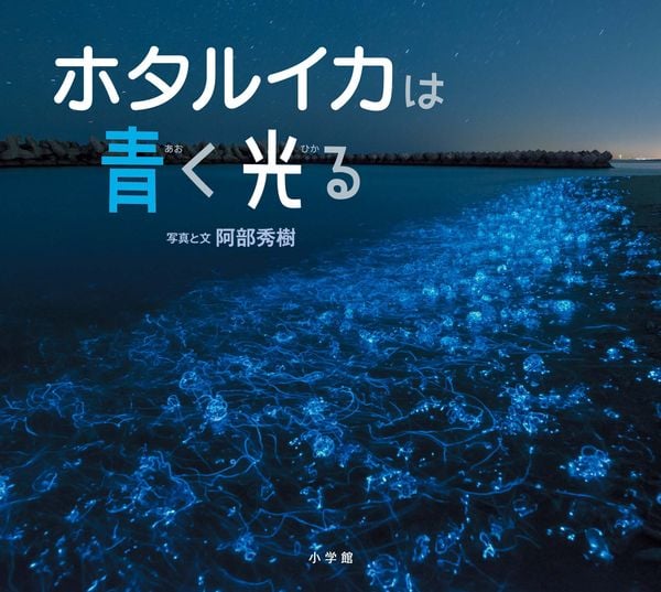 ホタルイカは青く光る (小学館の図鑑NEOの科学絵本)