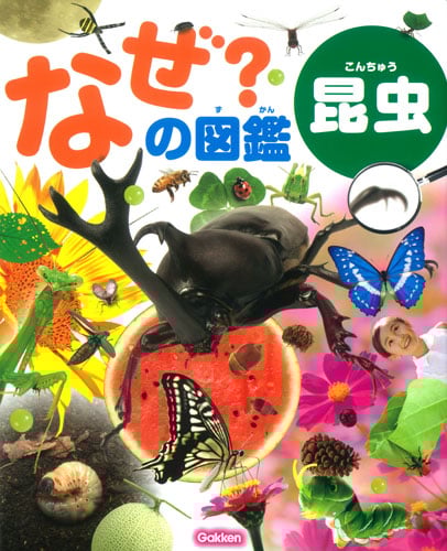 昆虫 (なぜ?の図鑑)