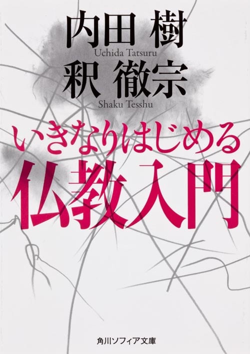 いきなりはじめる仏教入門 (角川ソフィア文庫)