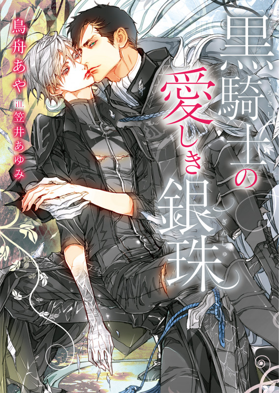 黒騎士の愛しき銀珠 (ダリア文庫)