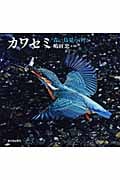カワセミ 青い鳥見つけたの詳細を見る