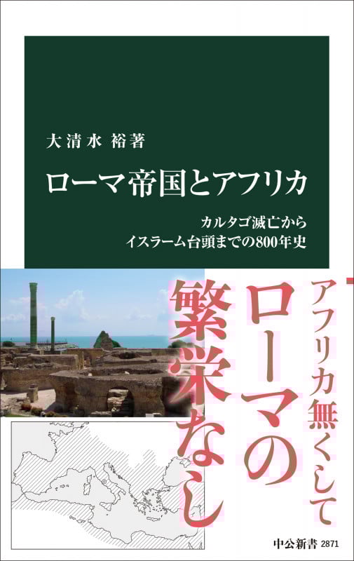 ローマ帝国とアフリカ カルタゴ滅亡からイスラーム台頭までの800年史 (中公新書 2871)