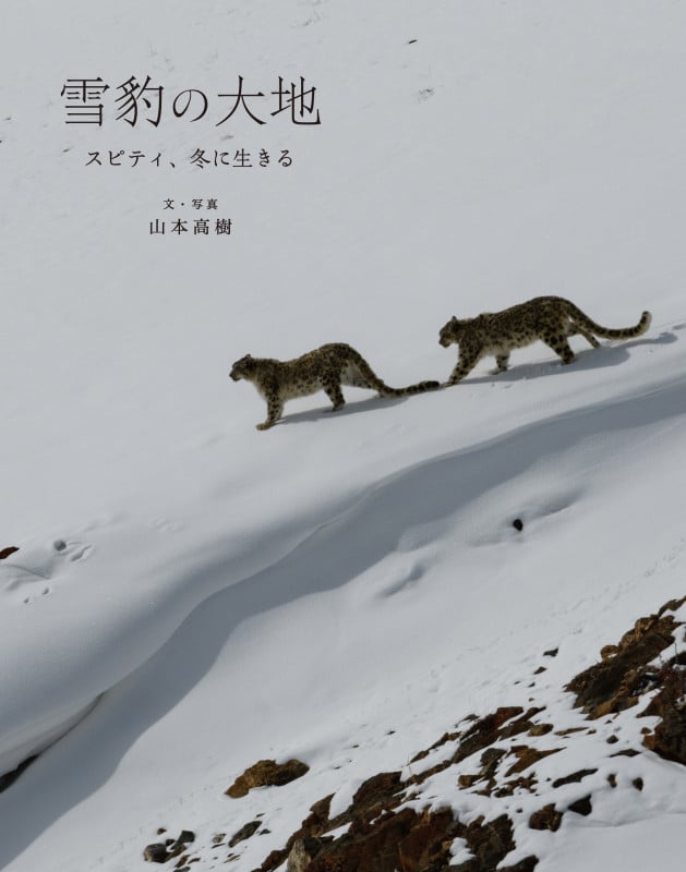 雪豹の大地 スピティ、冬に生きる