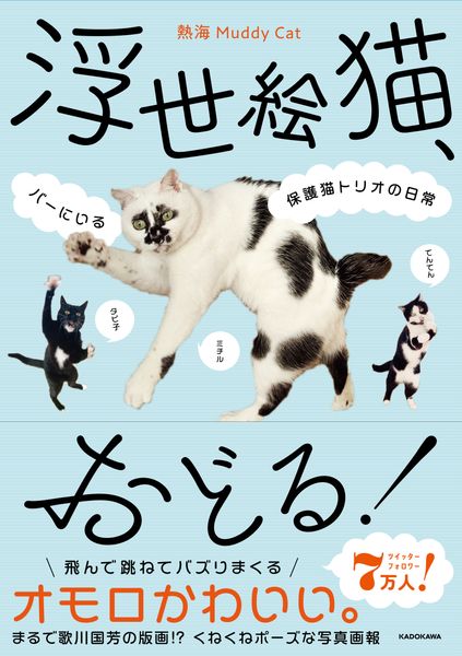 浮世絵猫、おどる! バーにいる保護猫トリオの日常の詳細を見る