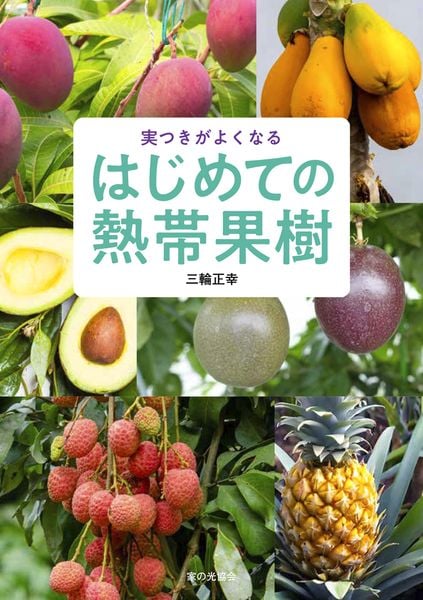 はじめての熱帯果樹 実つきがよくなる
