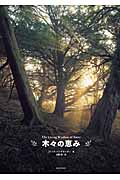 木々の恵み