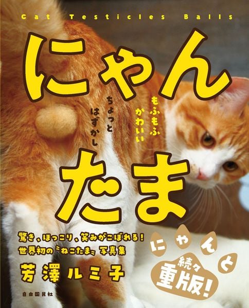 にゃんたまの詳細を見る