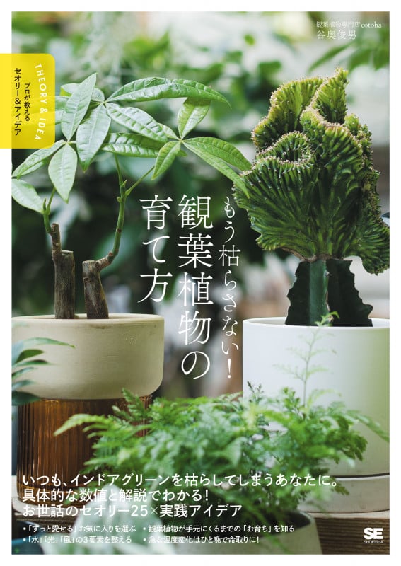 もう枯らさない!観葉植物の育て方 プロが教えるセオリー&アイデア (プロが教えるセオリー&アイデア)
