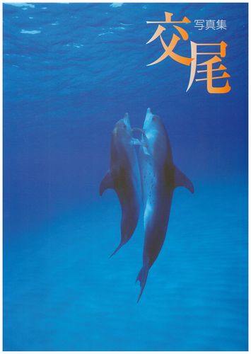 写真集 交尾
