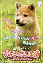 ココロ・あみーご きみとのさんぽ道 犬とわたしのキズナ (ちゃおノベルズ)