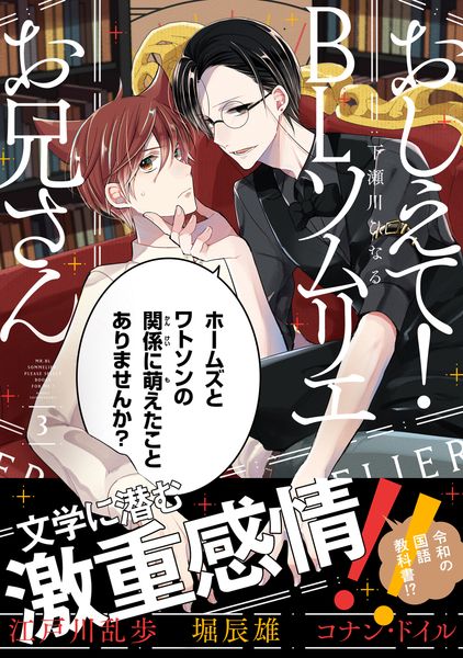 おしえて! BLソムリエお兄さん 3 (MFコミックス ジーンシリーズ)