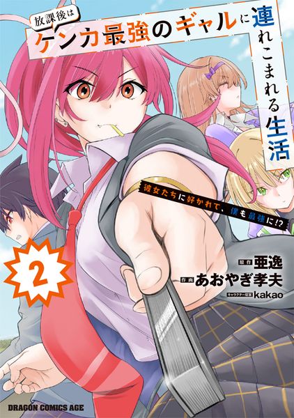 放課後はケンカ最強のギャルに連れこまれる生活 彼女たちに好かれて、僕も最強に!? 2 (ドラゴンコミックスエイジ)